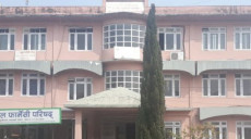 फार्मेसी सहायकको लाइसेन्स परीक्षामा १६ दशमलव ५० प्रतिशत मात्र उत्तीर्ण